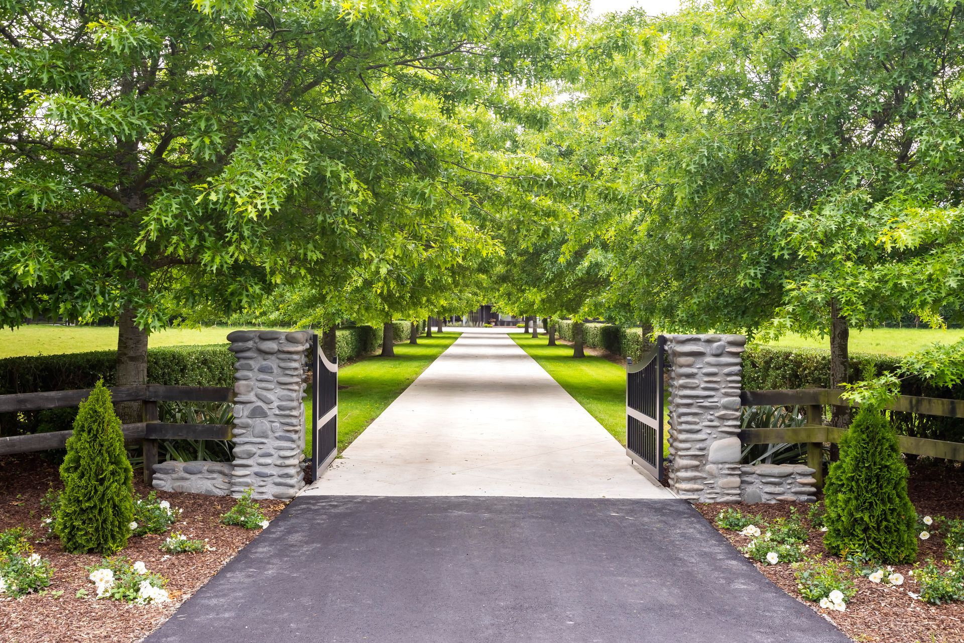 A driveway with trees on both sides and a stone gate