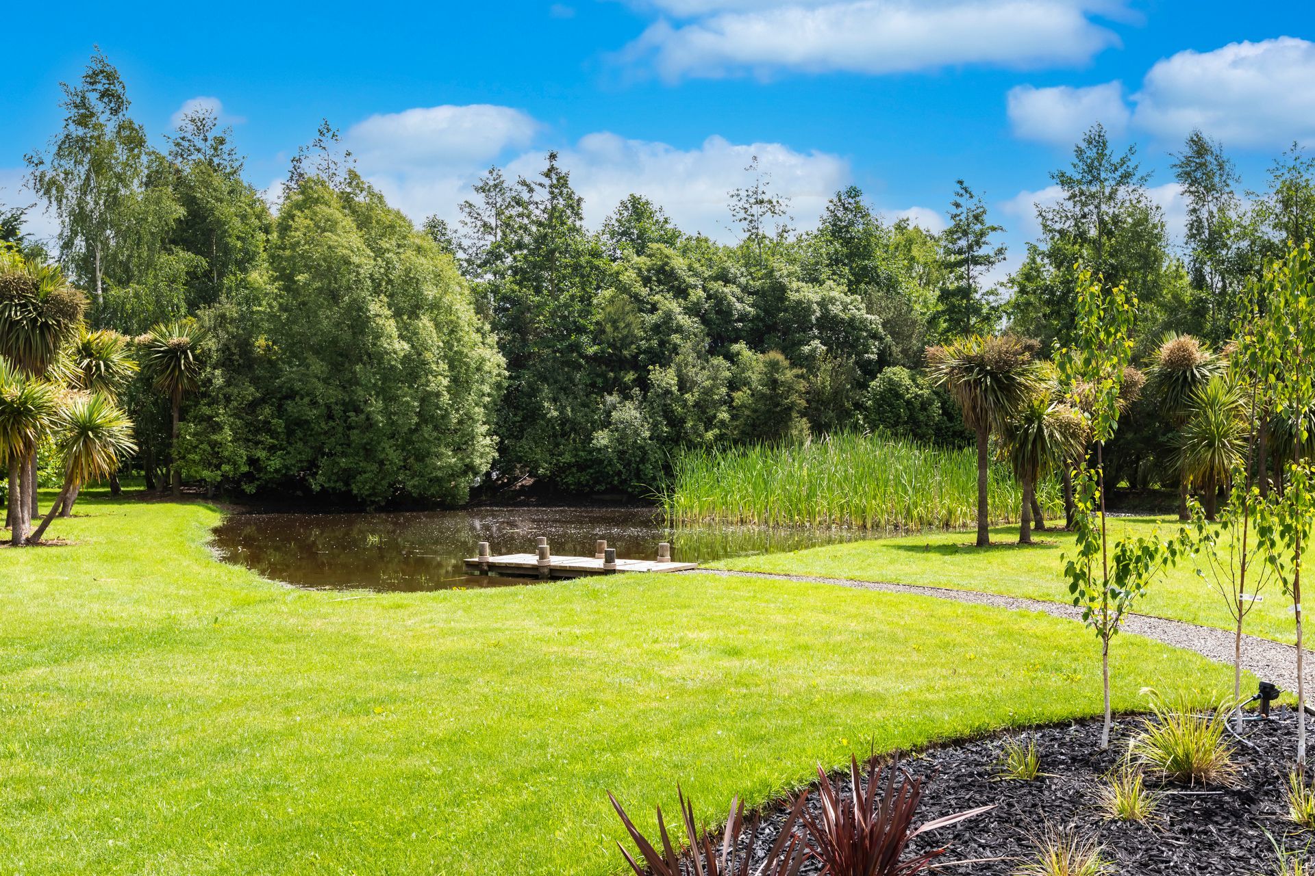 There is a pond in the middle of a lush green field surrounded by trees.