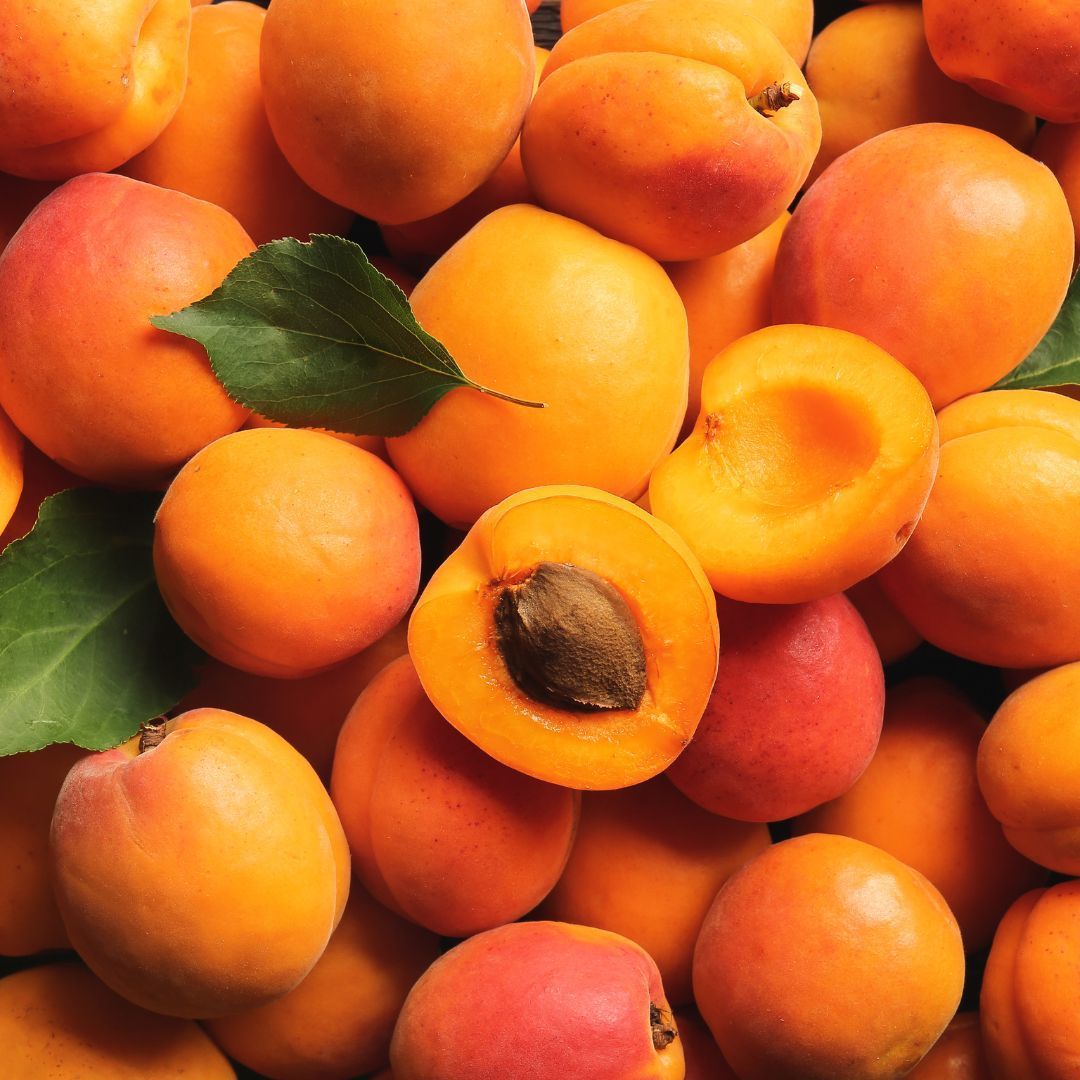 Abricots Bergeron