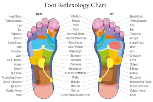 Nourishing Reflexology Treatment