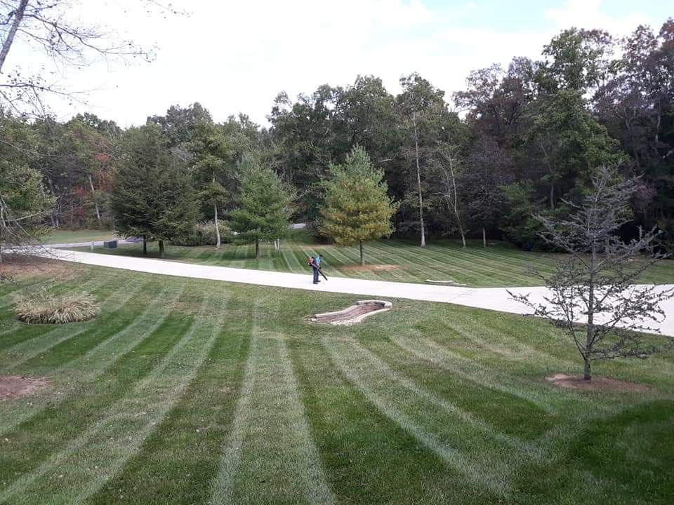 A man is walking down a lush green lawn next to a road.