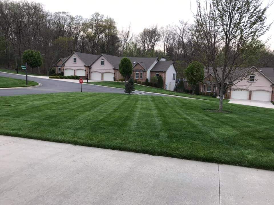 A lush green lawn in front of a row of houses