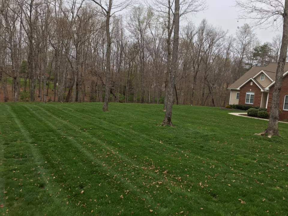 A lush green lawn in front of a house with trees in the background.