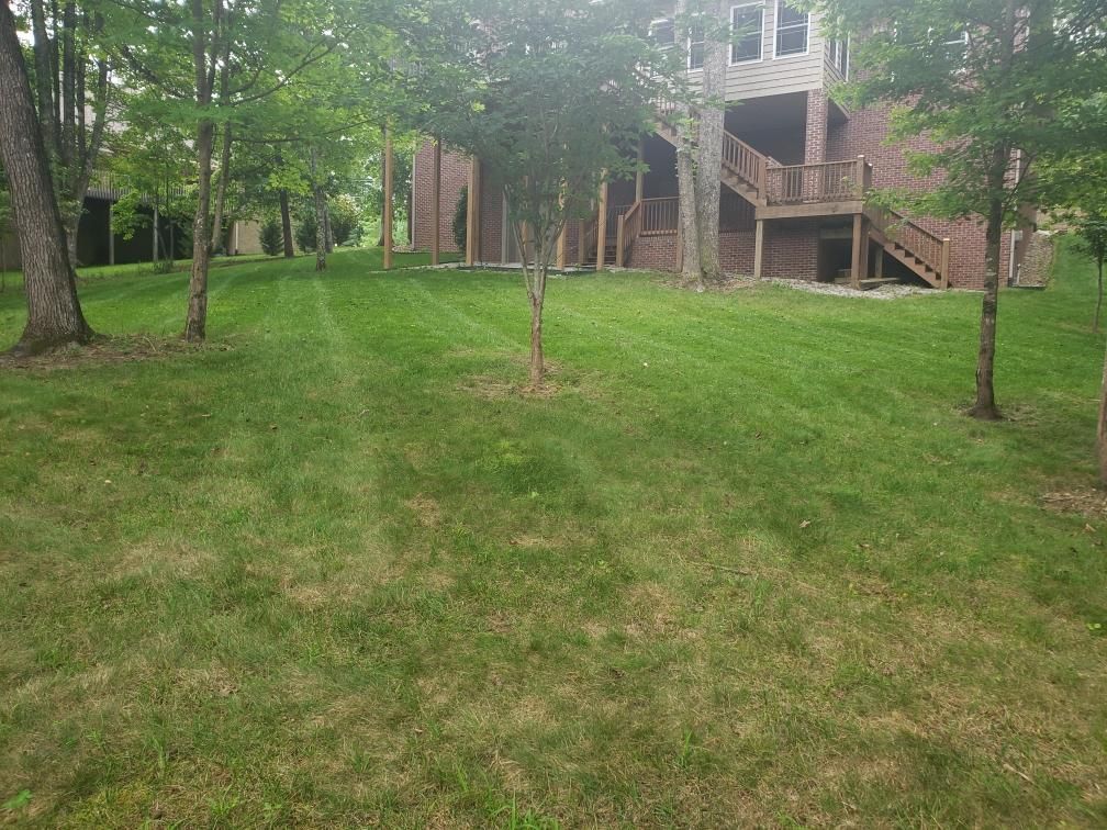 A lush green lawn with a house in the background