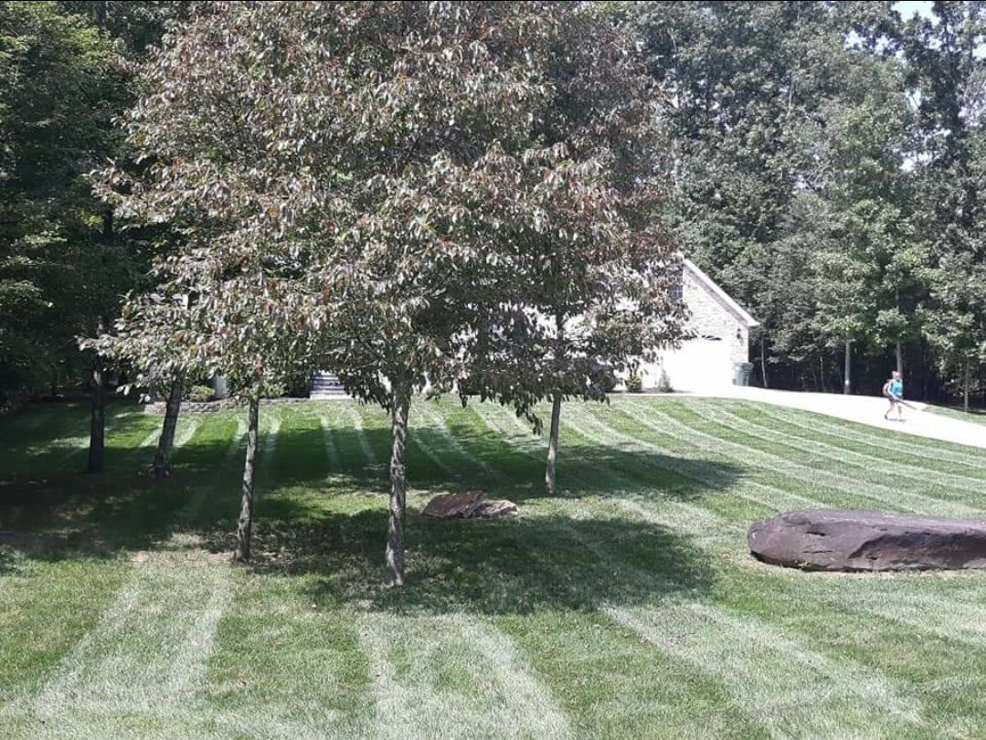 A lush green lawn with trees and a house in the background.