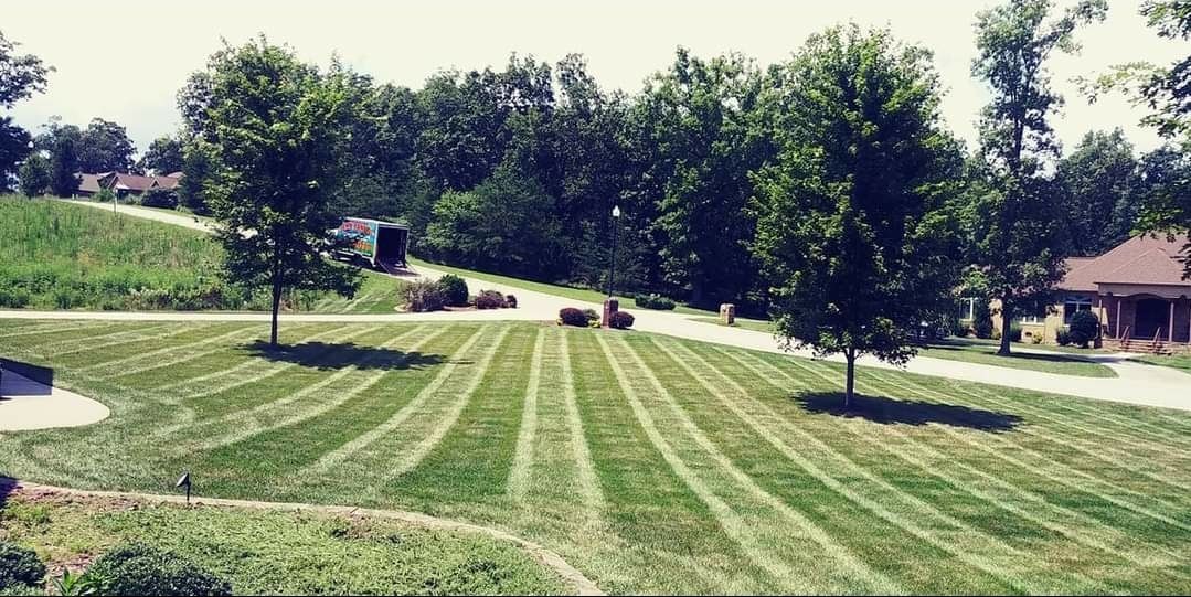 A lush green lawn with trees in the background and a house in the background.
