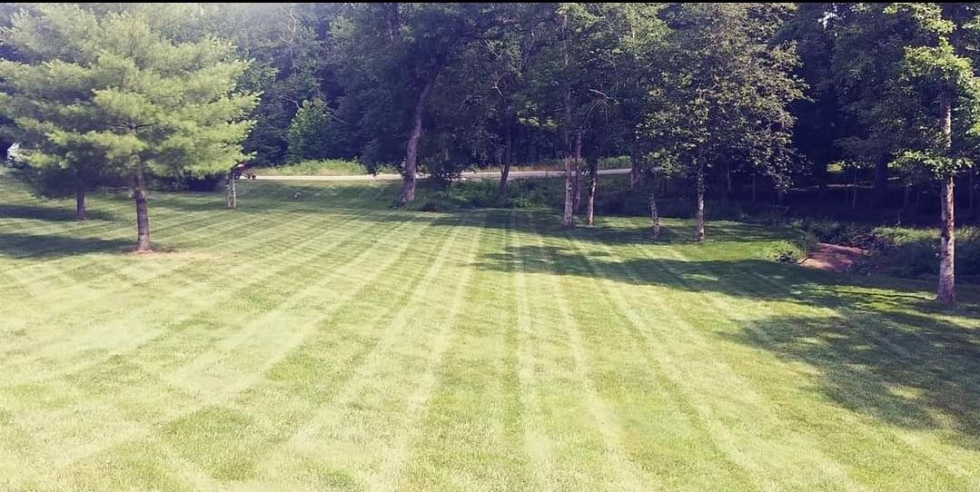 A lush green lawn with trees in the background.