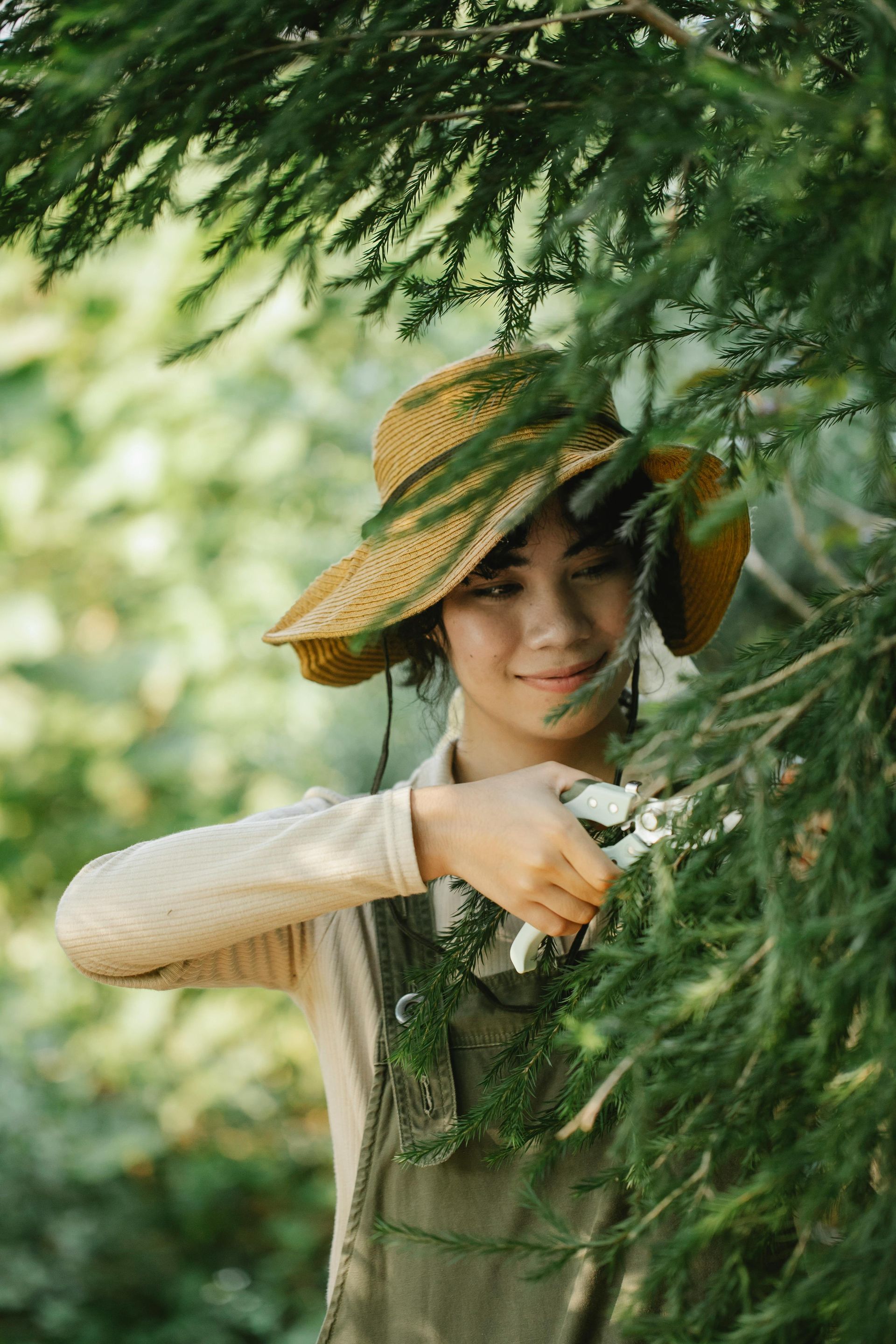 A woman in a straw hat is cutting a tree branch with a pair of scissors.