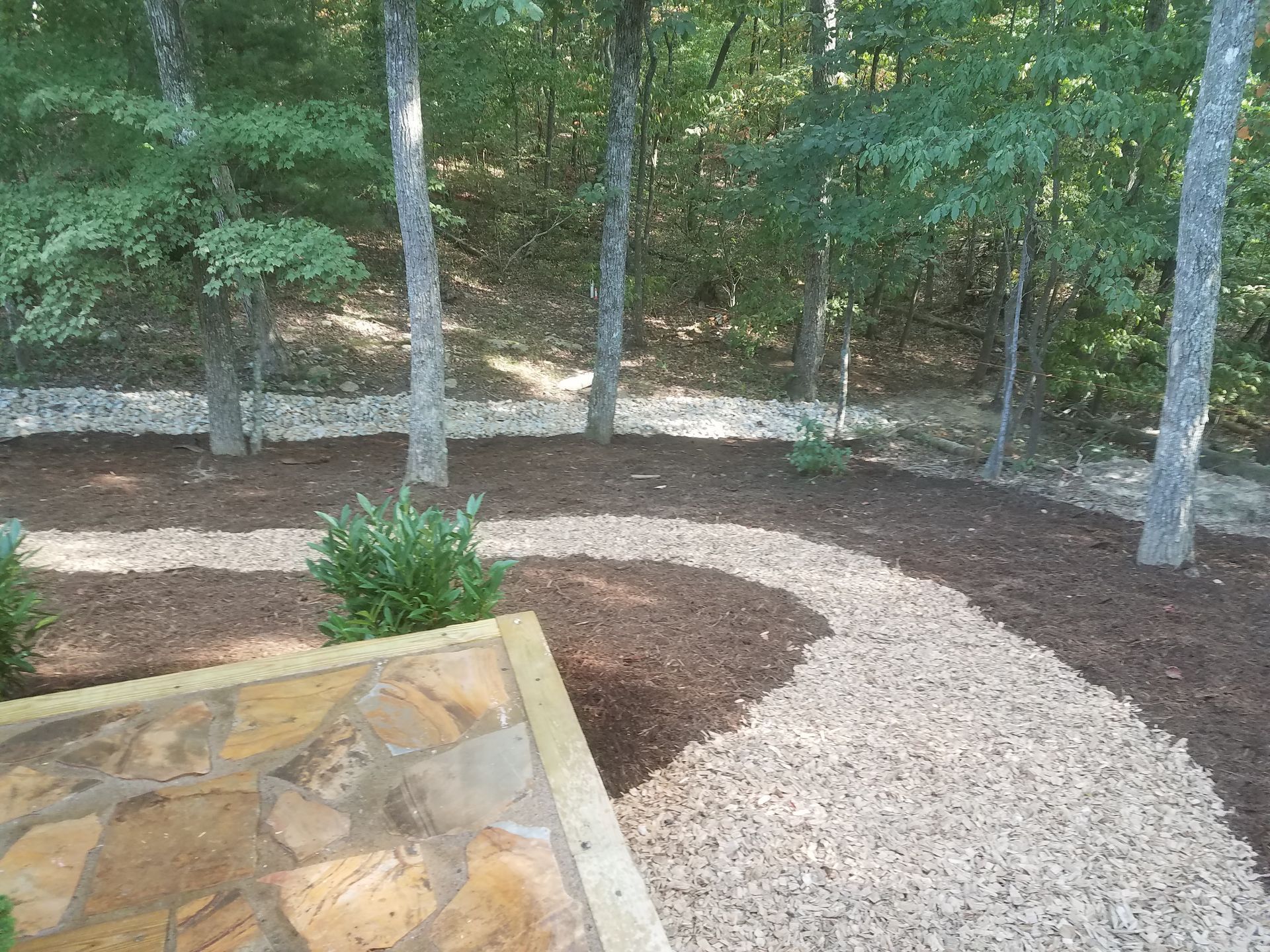 A path in the middle of a forest surrounded by trees and gravel.