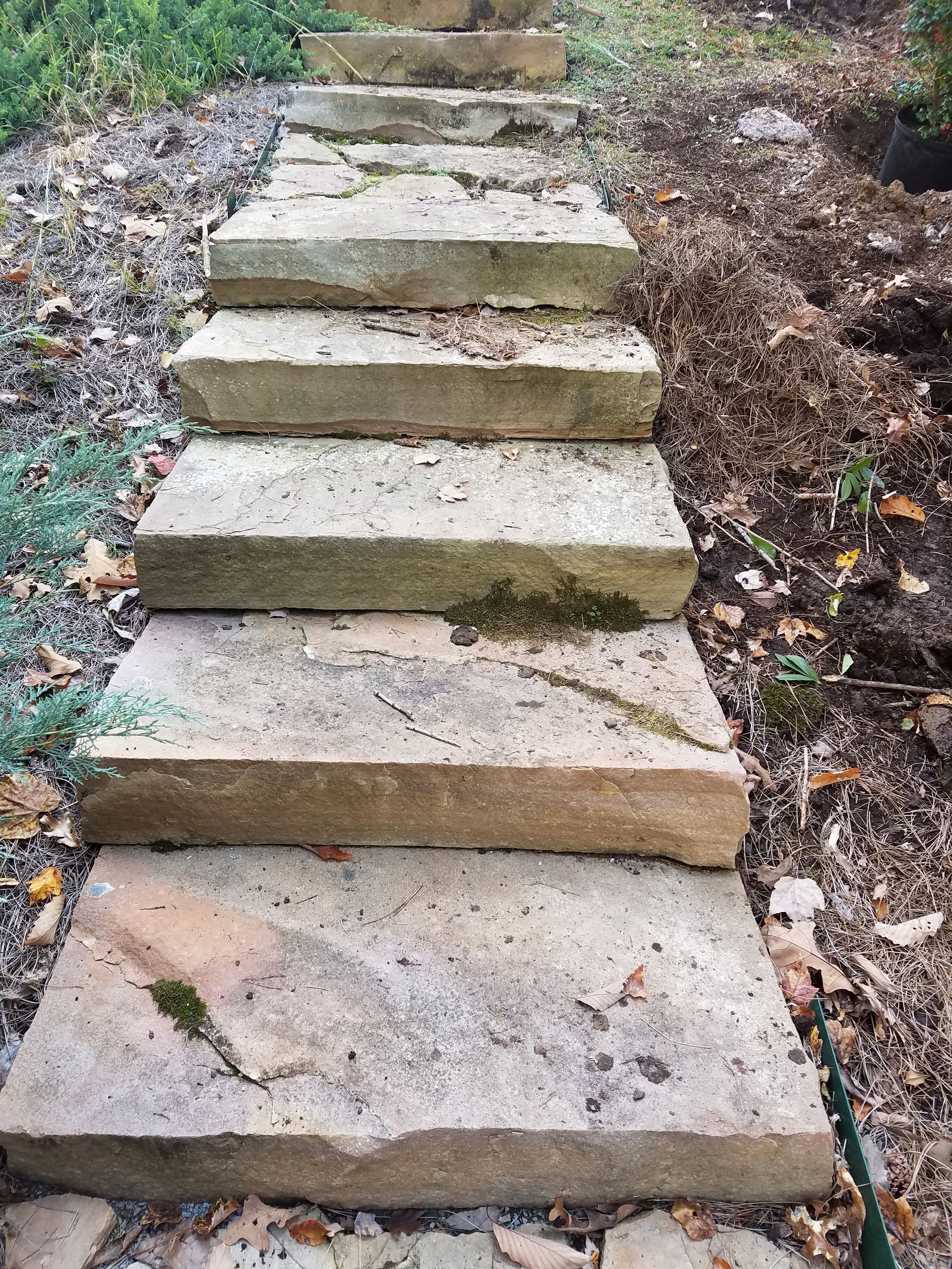 A row of stone steps going up a dirt path.