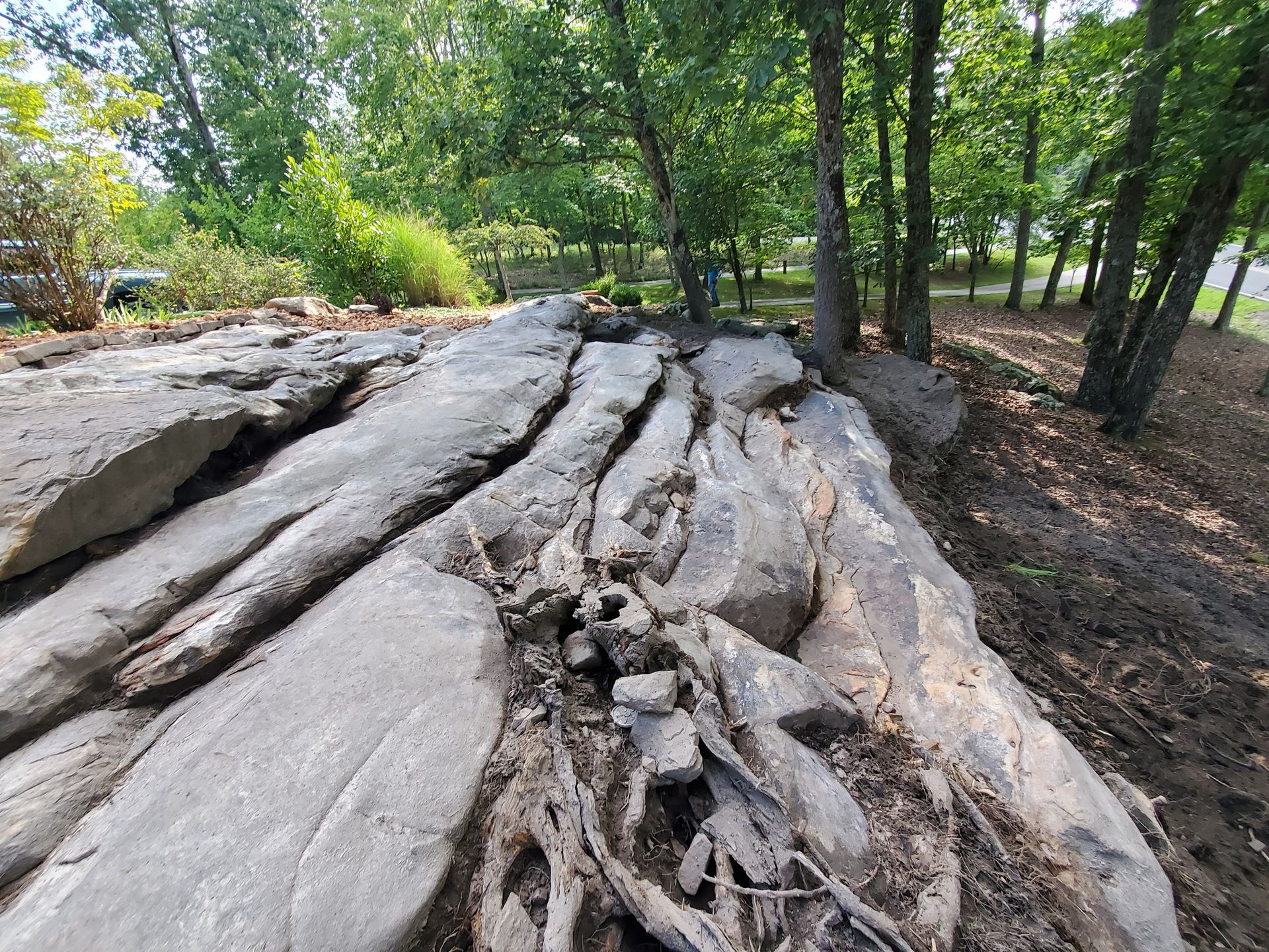 A large rock in the middle of a forest with trees in the background.