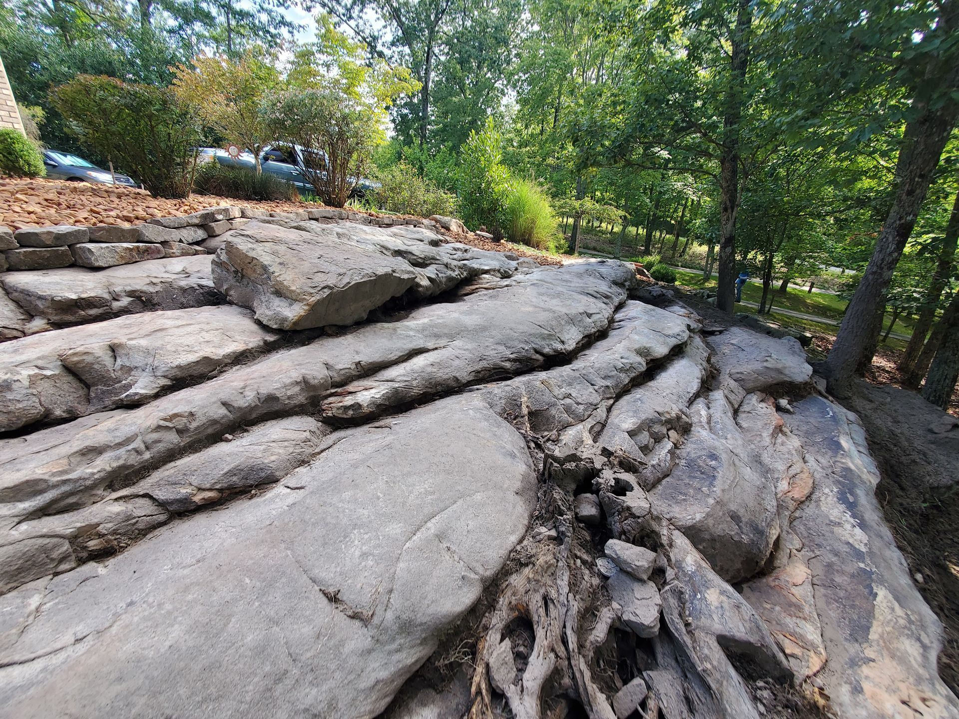 A large rock formation in the middle of a forest with trees in the background.