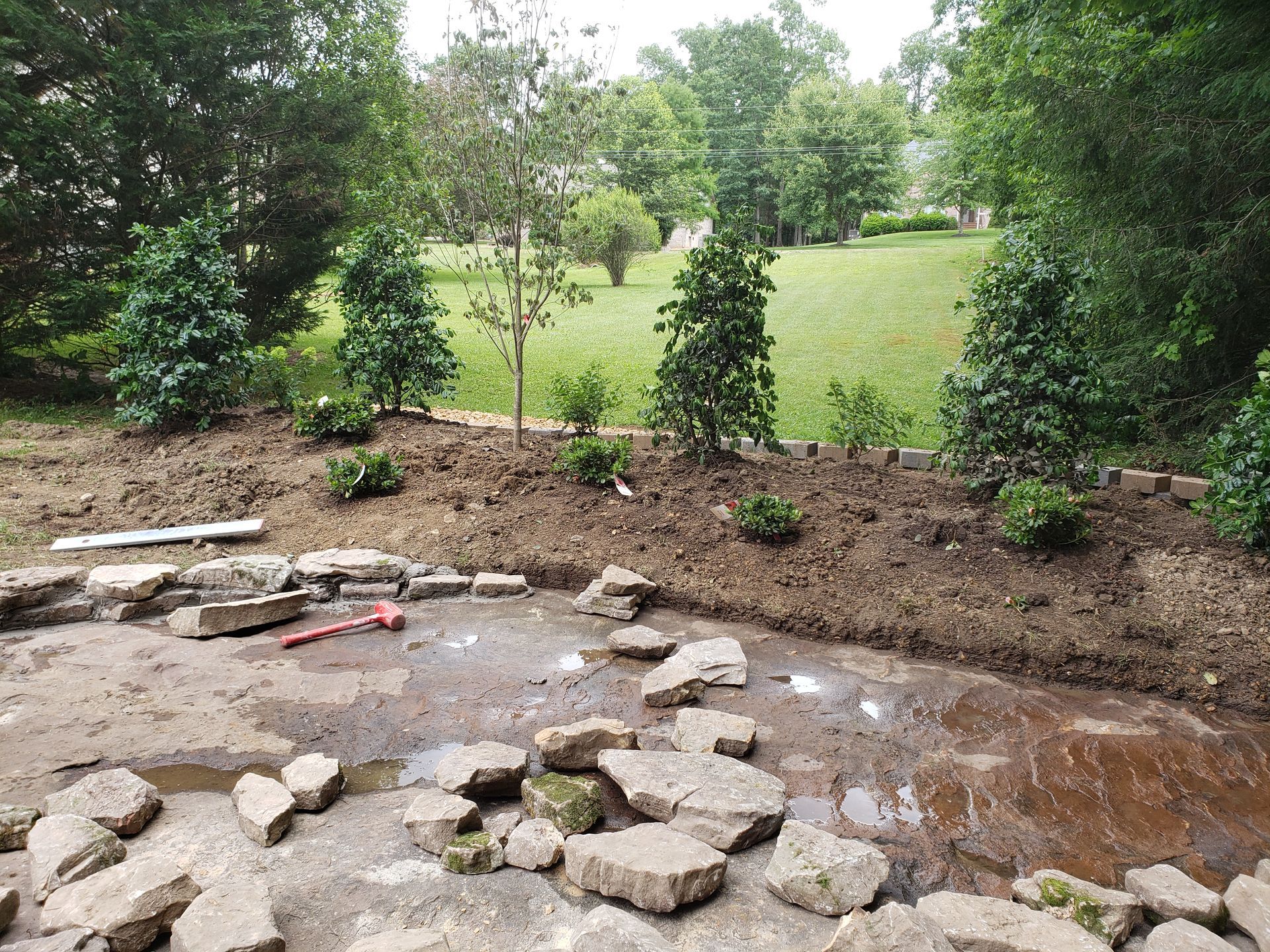 A muddy area with rocks and trees in the background