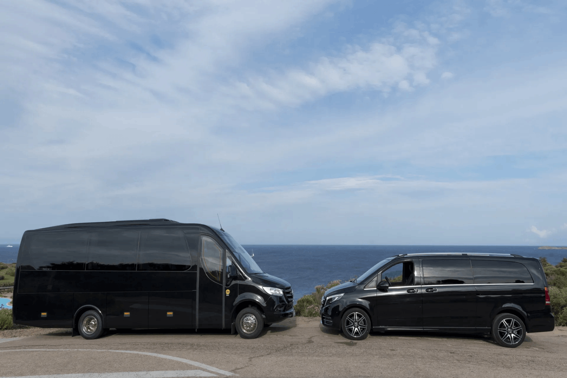 minivan della ditta