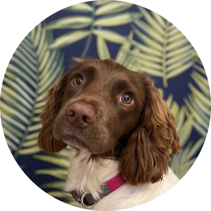 Our Team Property Foundations Group