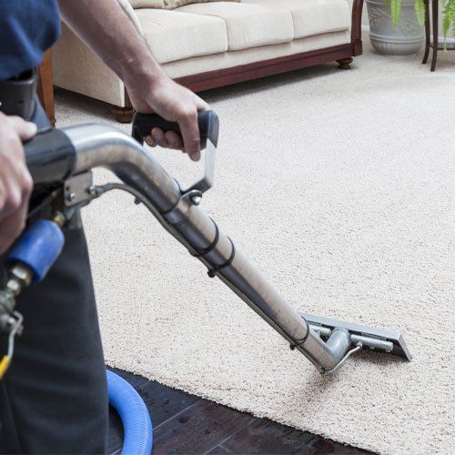 Steam Cleaning Carpets — Adelaide, SA — Adelaide Carpet Care Steam Cleaning Carpets — Adelaide, SA — Adelaide Carpet Care