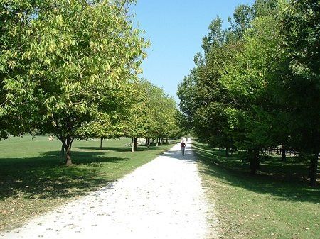 Louisville’s Complete Guide to Outdoor Activities