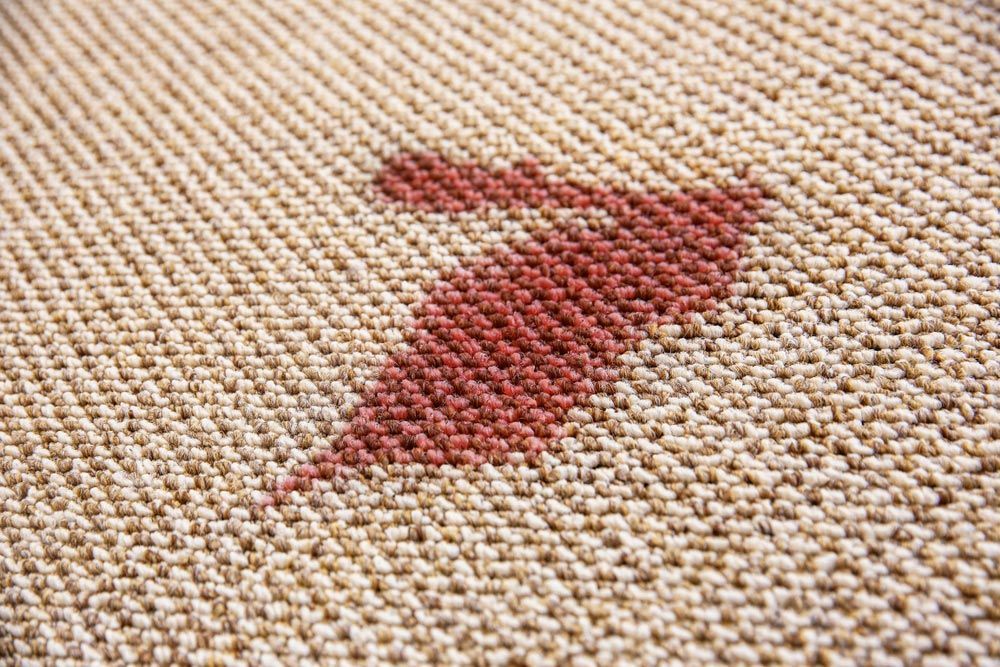 Closer Look Of A Carpet Stain — Queanbeyan Carpets in Woden, NSW