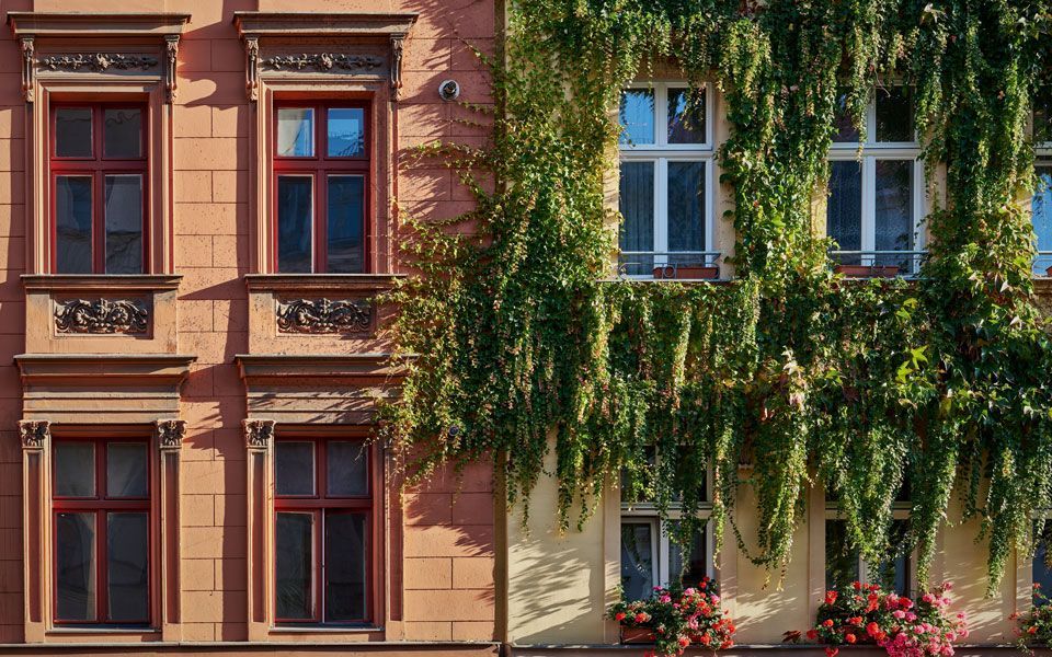 Renovierte und begrünte Fassade