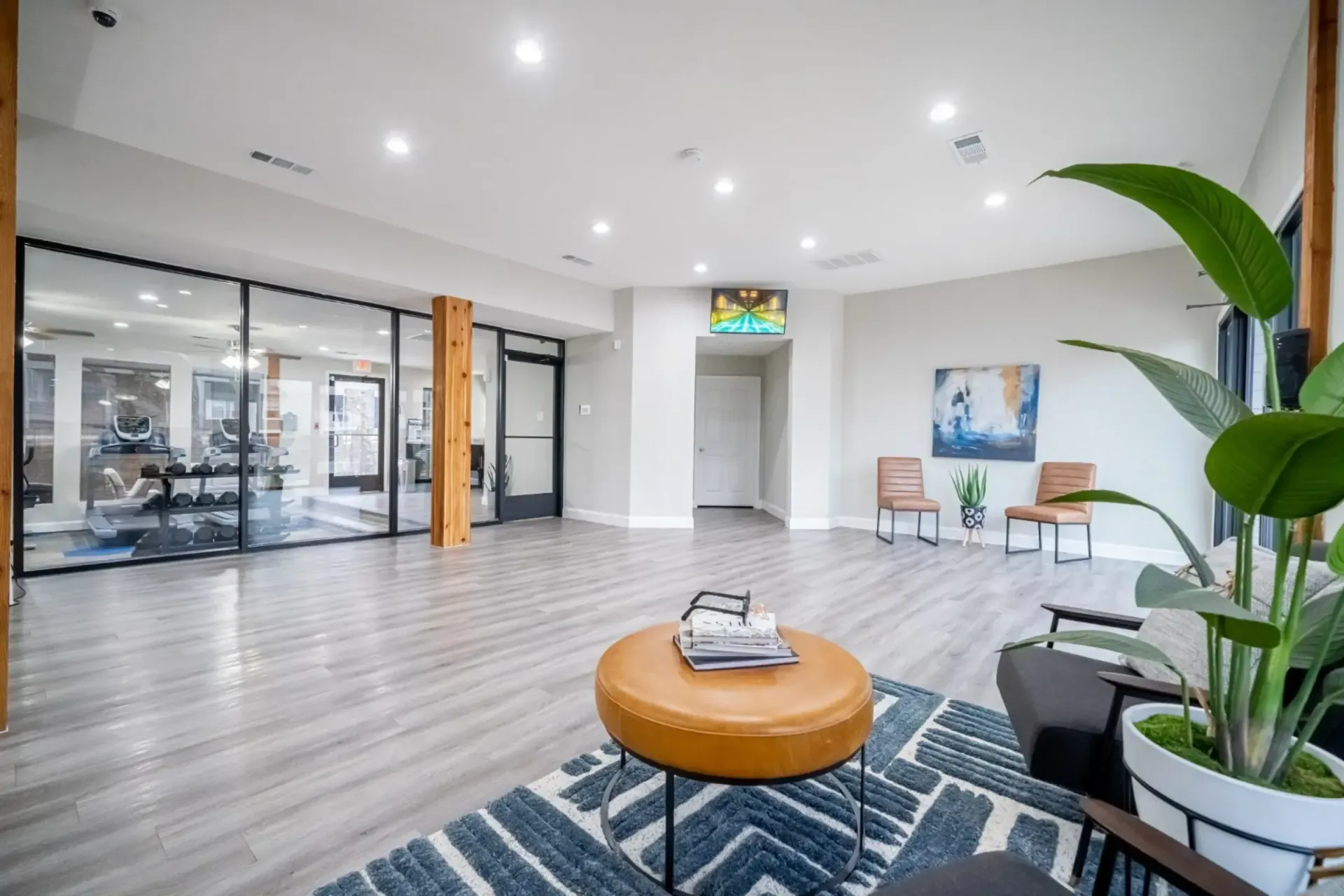 A living room with a table , chairs , and a plant.