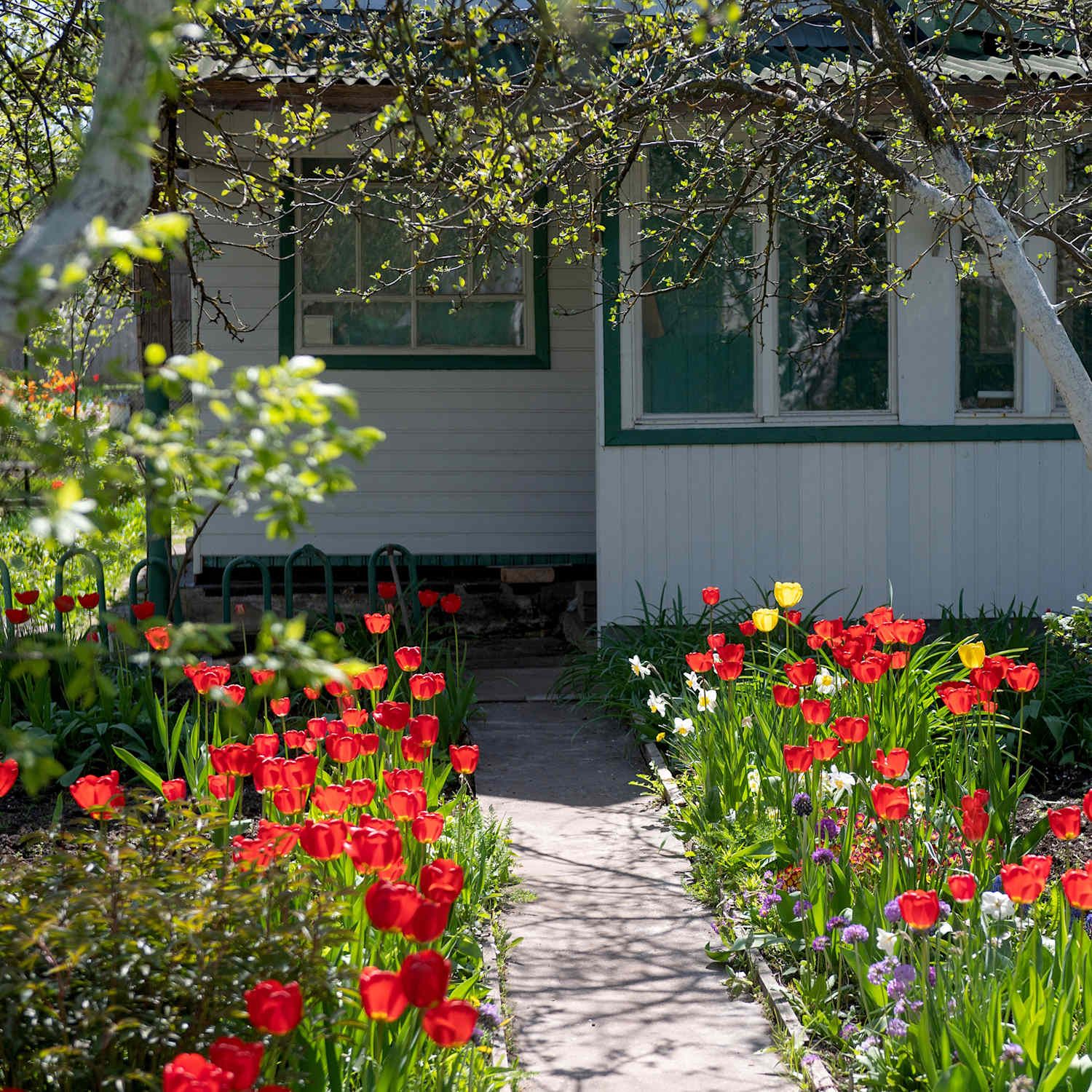 Spring Apartment Living: Fresh Ideas for a New Season
