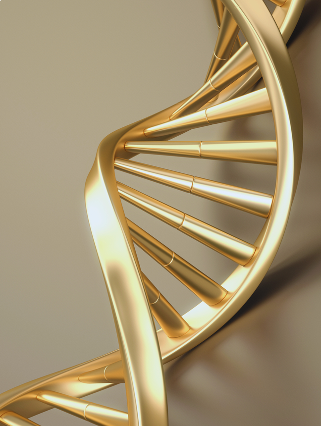Gold 3D DNA helix sculpture on a beige background