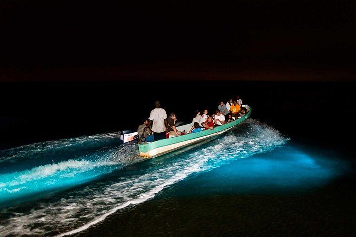 Anderson's (Bioluminescent) Lagoon