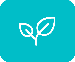 White outline of two leaves on a turquoise background.