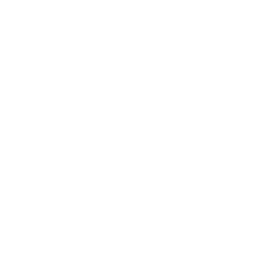 Logo Vivo