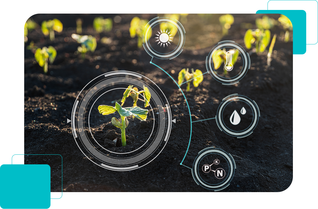 Seedlings in soil with glowing circular icons, suggesting smart agriculture or plant monitoring.