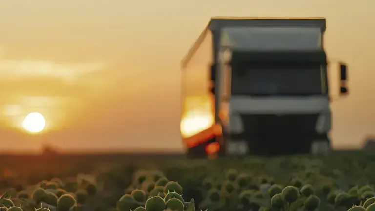 Semi-truck driving on a field of sunflowers at sunset.