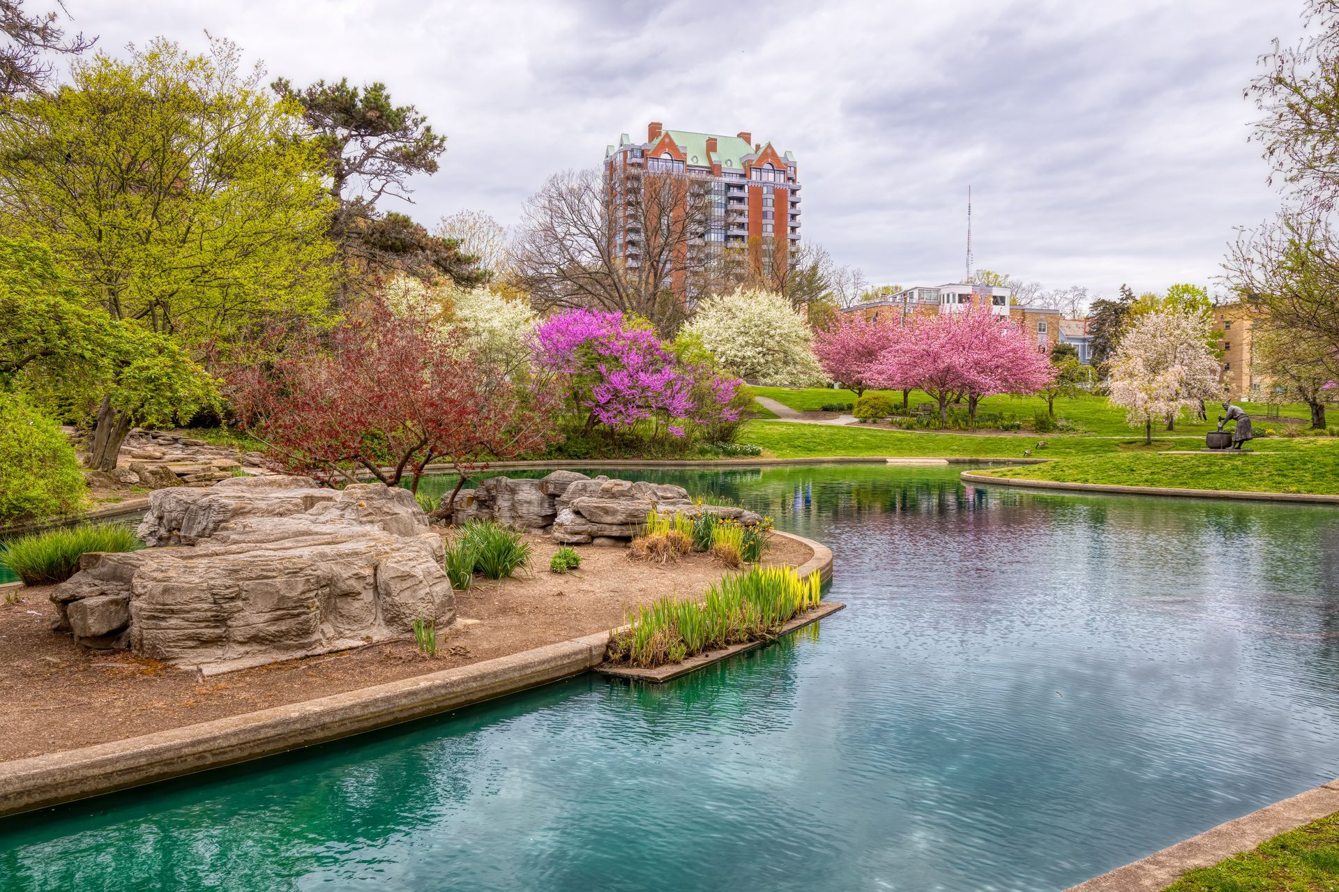 Tranquil park pond with turquoise water, pink flowering trees, rocks, and a distant city building