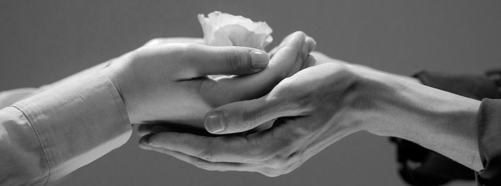 Twee handen houden voorzichtig een witte bloem vast. Zwart-witfoto.