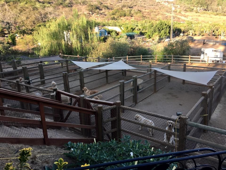 A fenced in area with a few animals in it