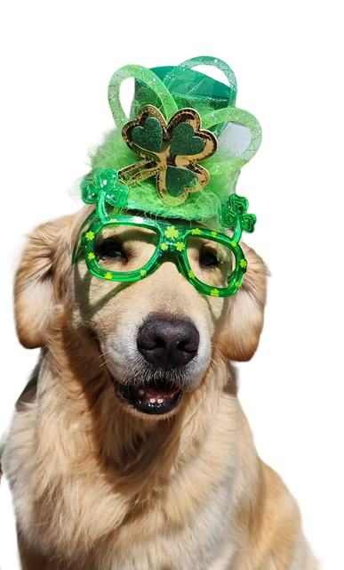 A dog wearing a green hat and glasses for st. patrick 's day.