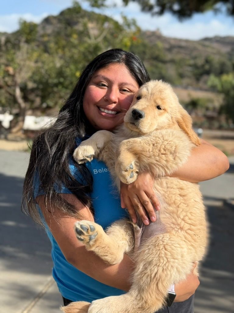 A woman is holding a puppy in her arms. A woman is holding a puppy in her arms.