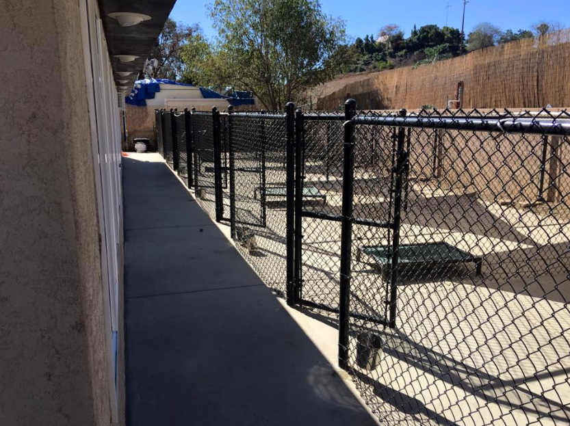 A chain link fence surrounds a concrete walkway