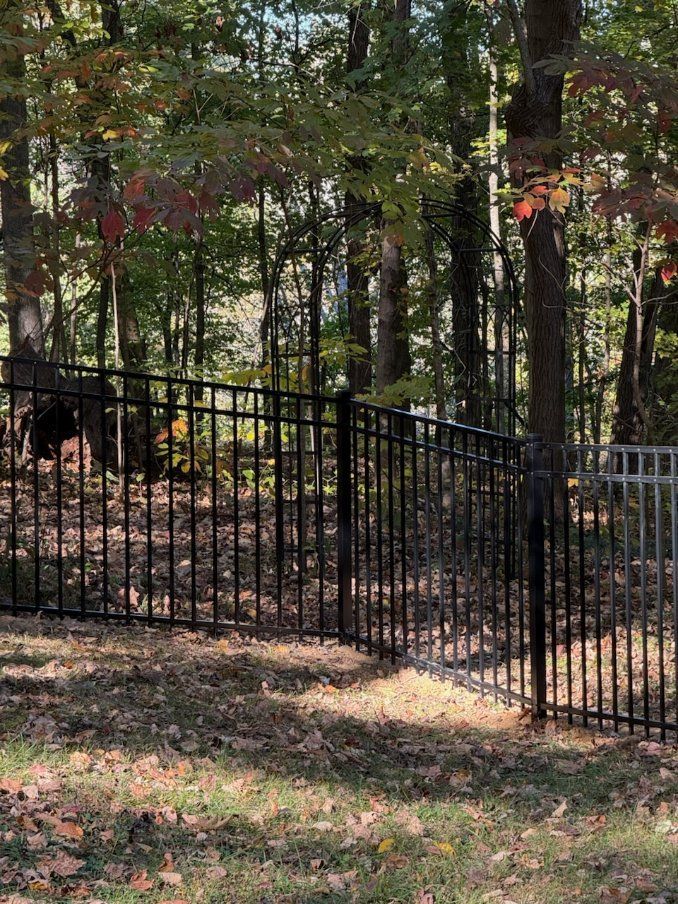 A black metal fence is surrounded by trees in the woods.