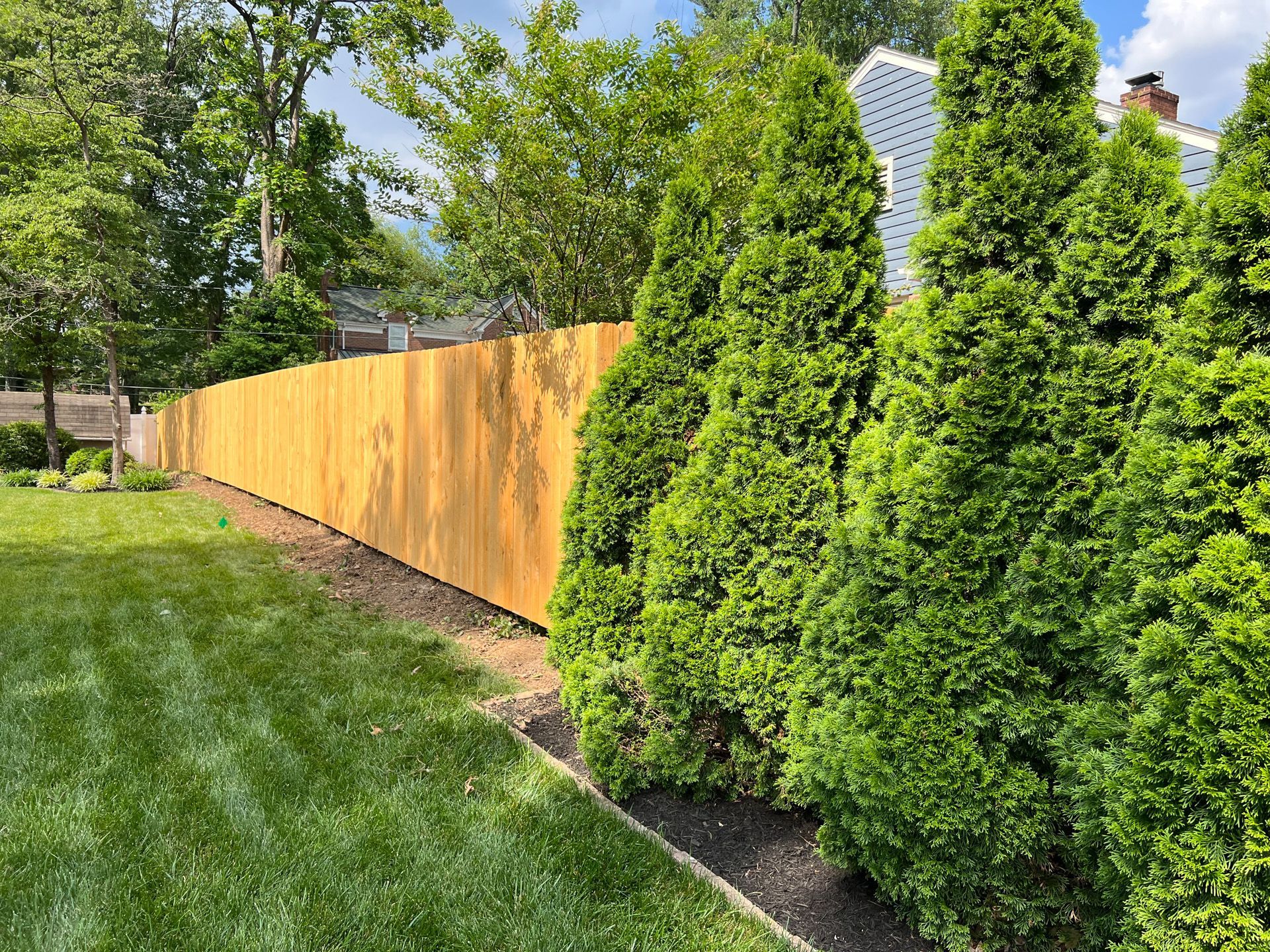 wood fencing