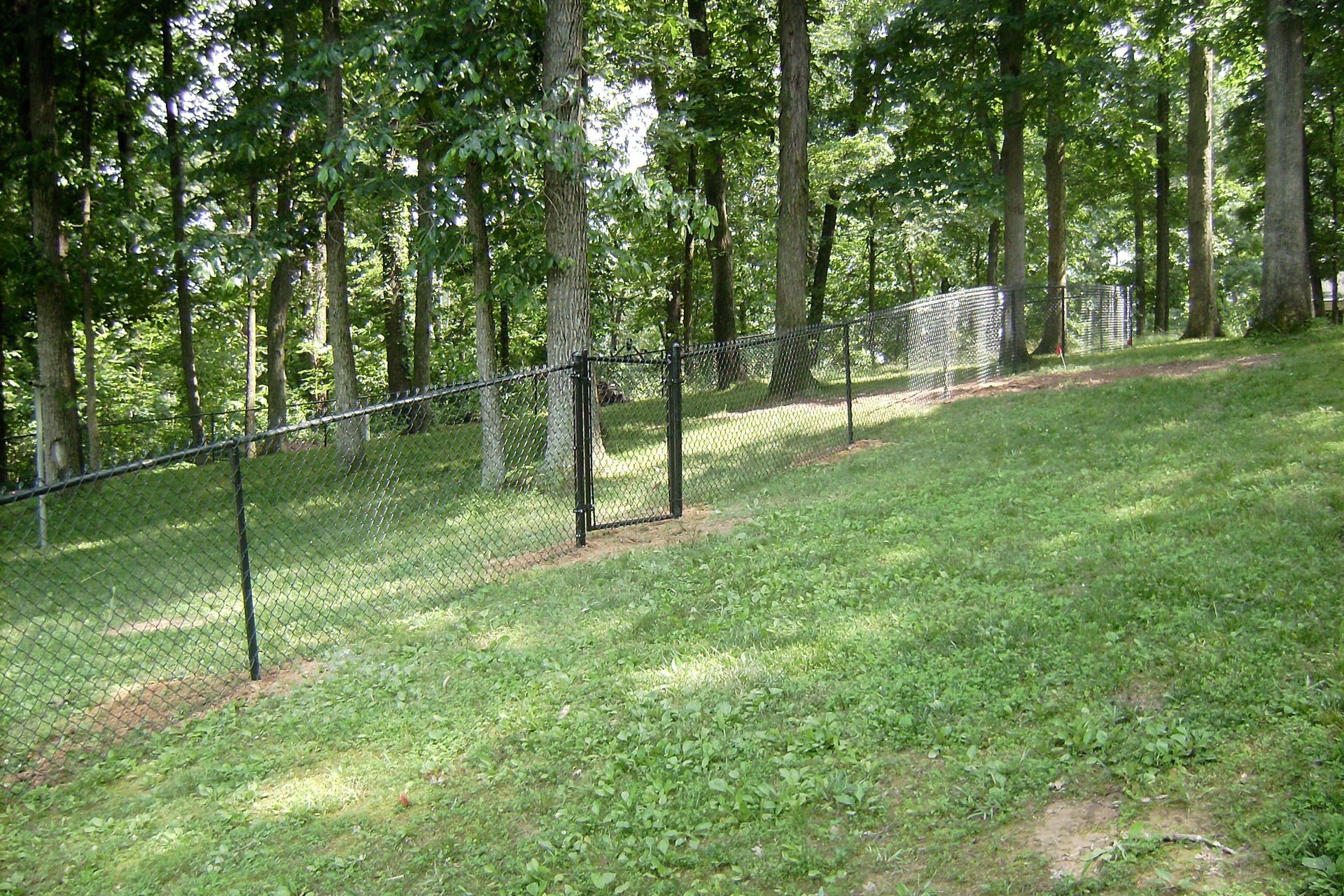 chain link fencing