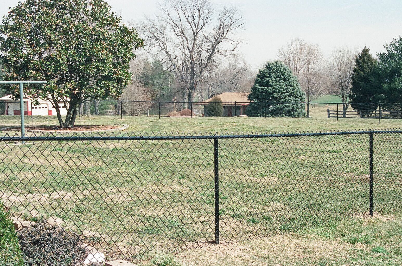 chain link fencing