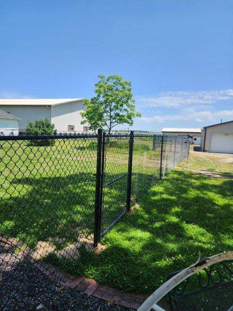 chain link fencing