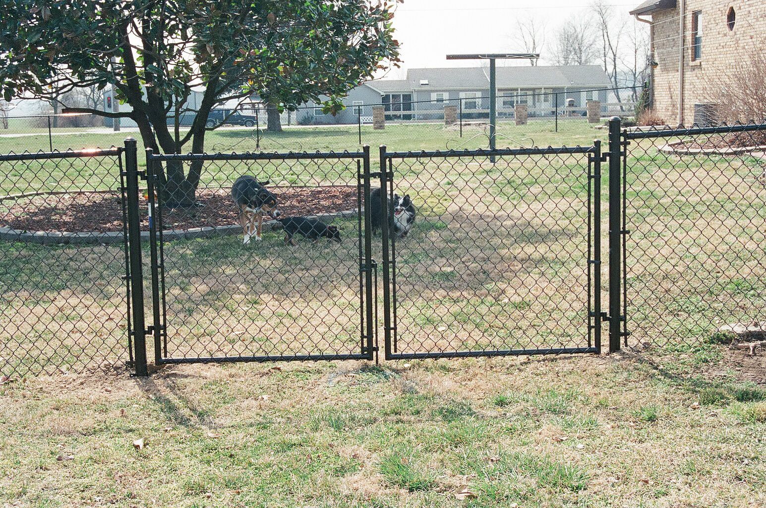 chain link fencing