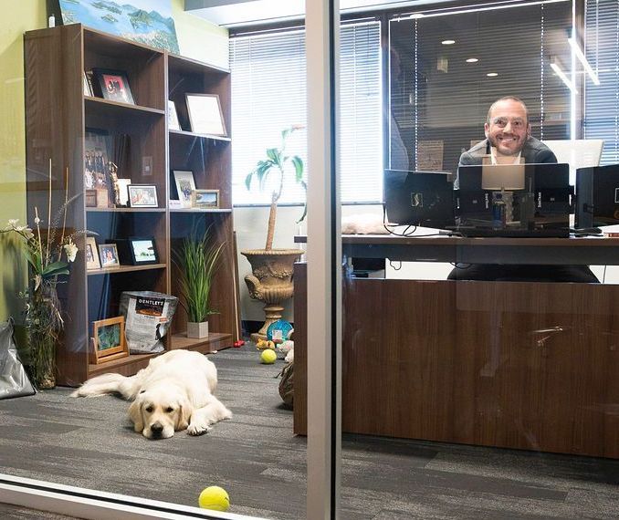 A man sitting at a desk with a dog laying on the floor