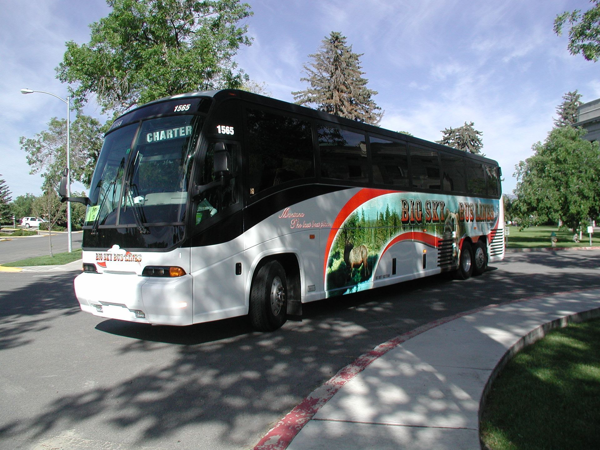 Silver bus with black-tinted windows turning on a curved road in a sunny park-like area