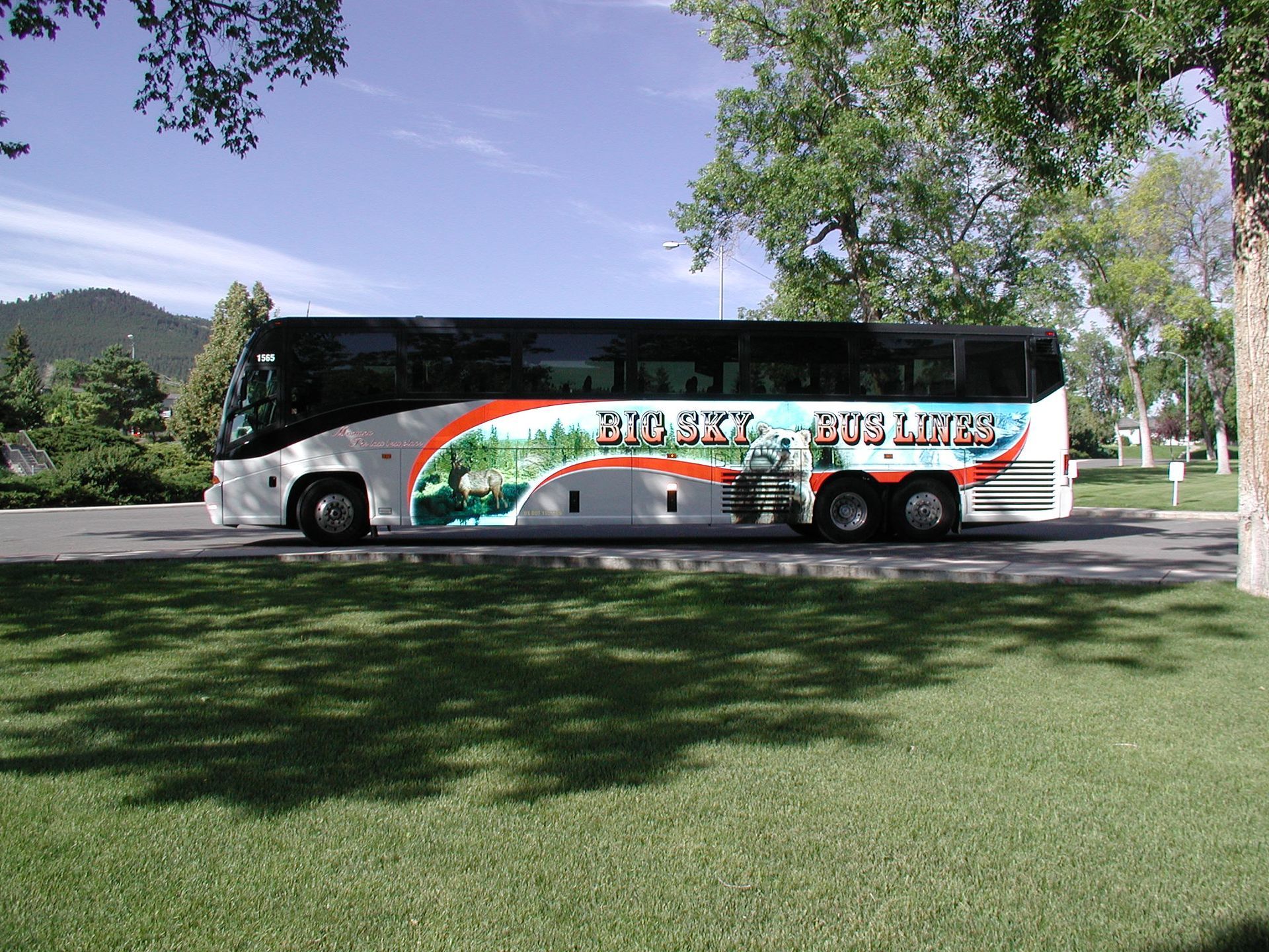 Tour bus with colorful desert mural parked by a green lawn and trees on a sunny day