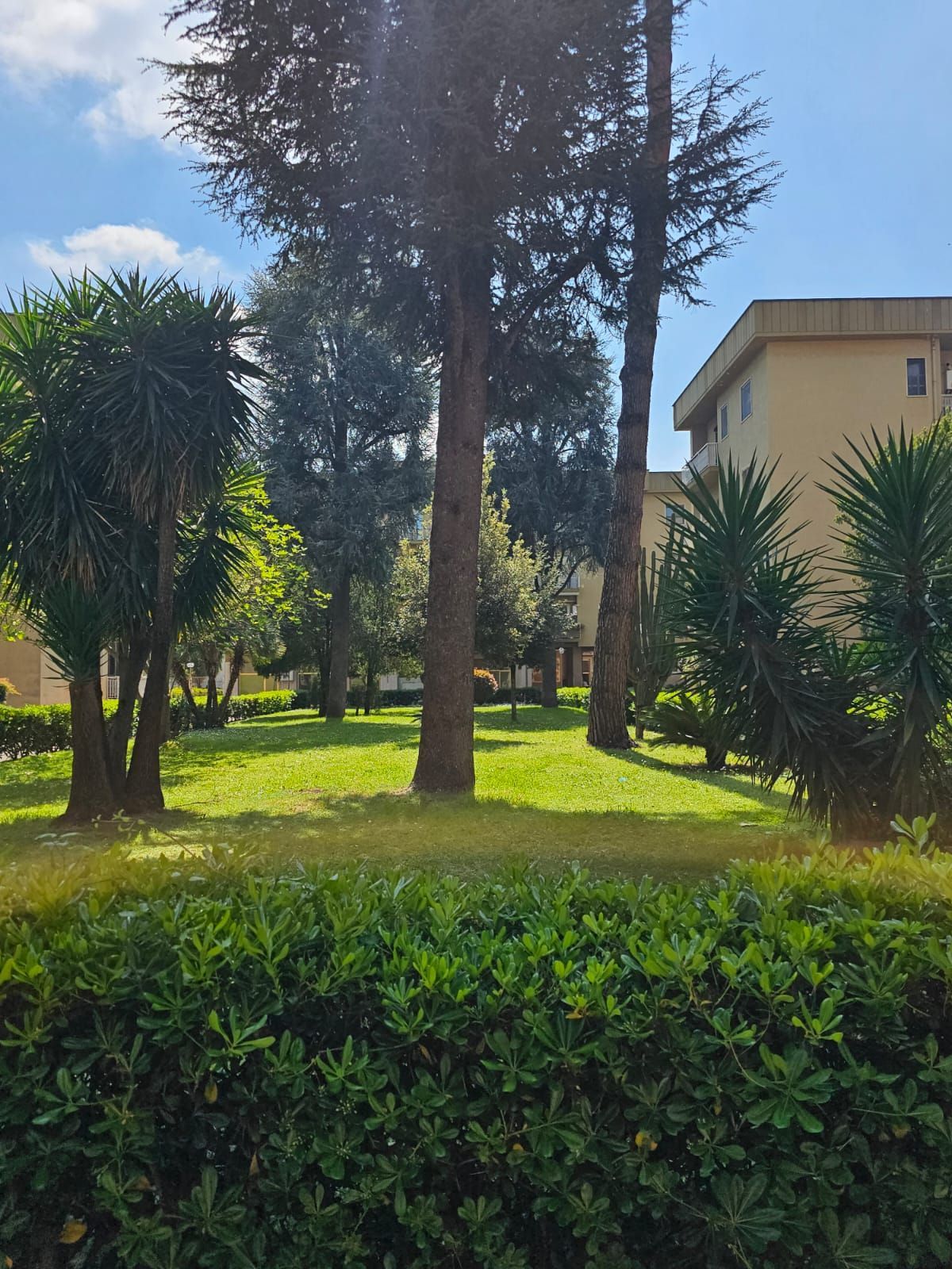 Studio Goglia e Valerio