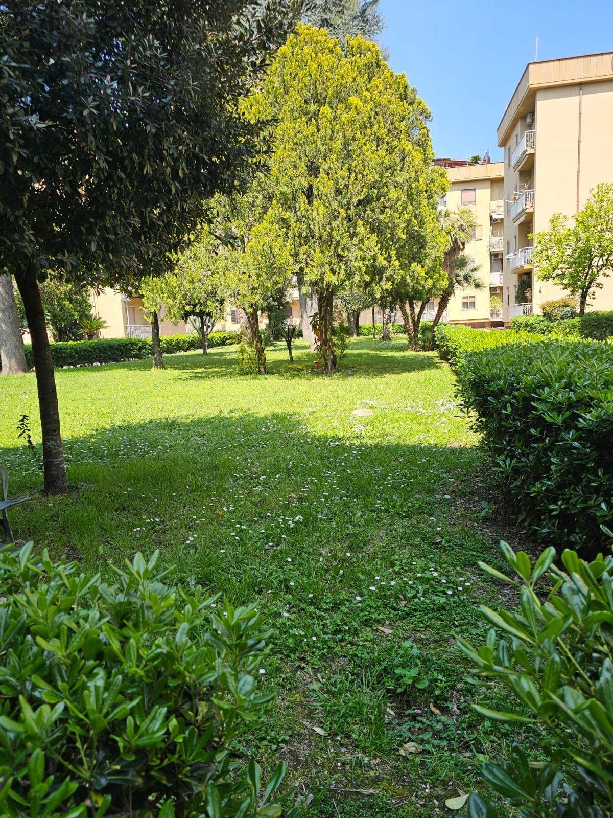 Studio Goglia e Valerio