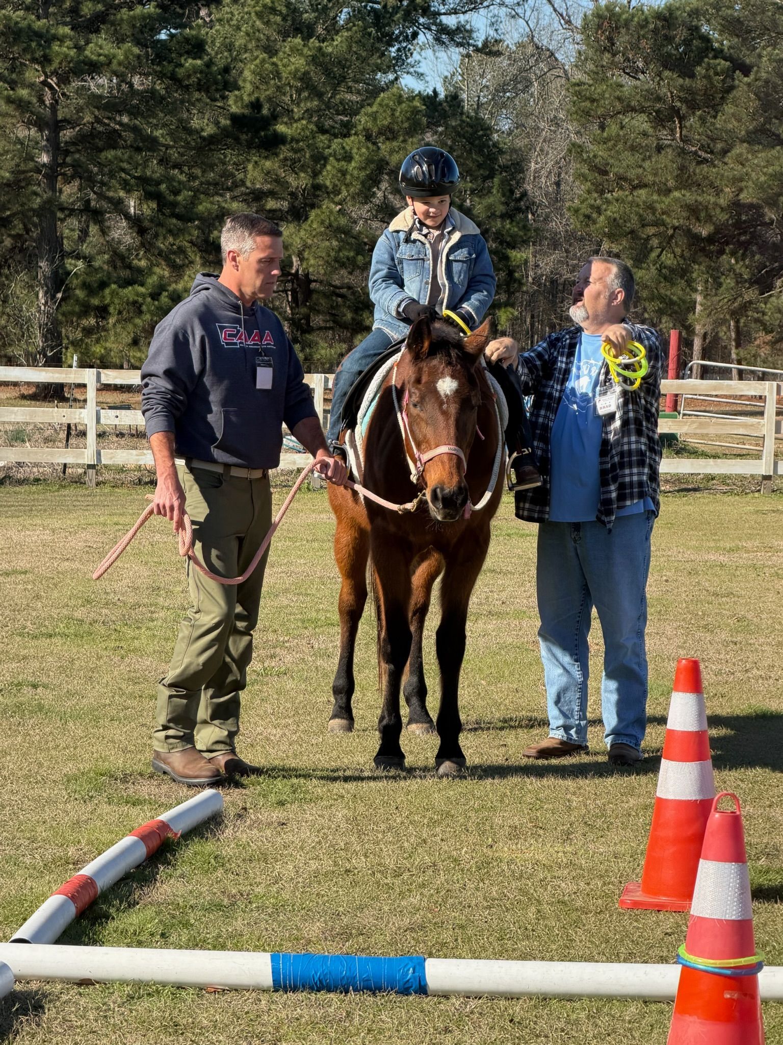 Rider on horse between two handlers in a grassy arena with training poles and orange cones