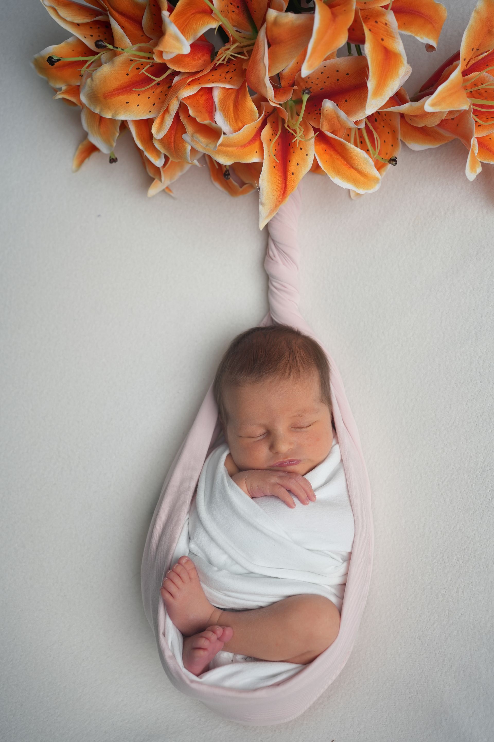 neww born in rosa